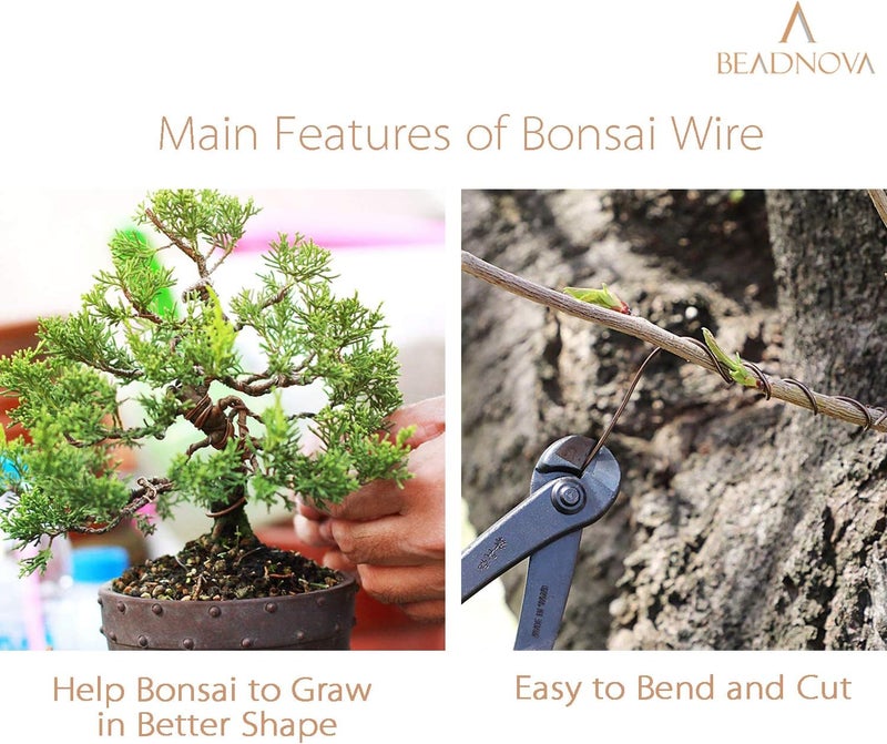 BEADNOVA Plant Training Wire 98 Feet Copper Bonsai Tree Aluminium Plant Wire for Training Indoor and Outdoor (Copper, 2mm, 30m) - Image 4